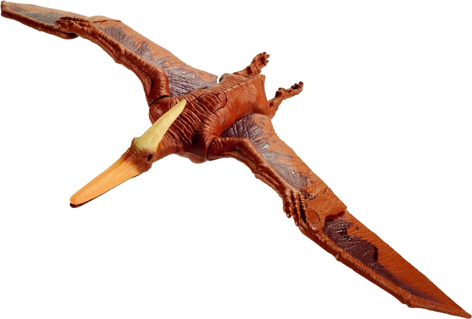 pteranodon carnivore